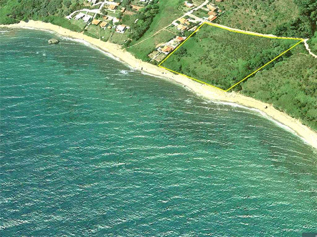 οικόπεδο προς πώληση 10313 τ.μ  Νομός Λάρισας