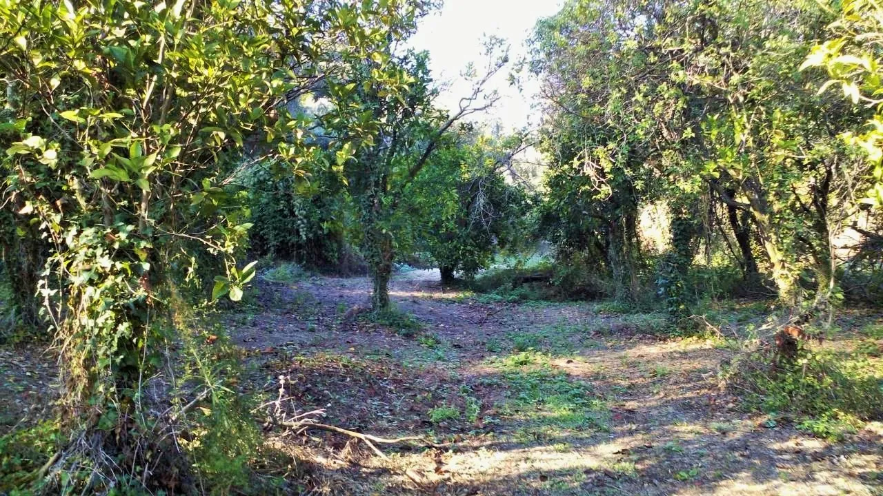 οικόπεδο προς πώληση 8104 τ.μ Κέρκυρα Νομός Κέρκυρας