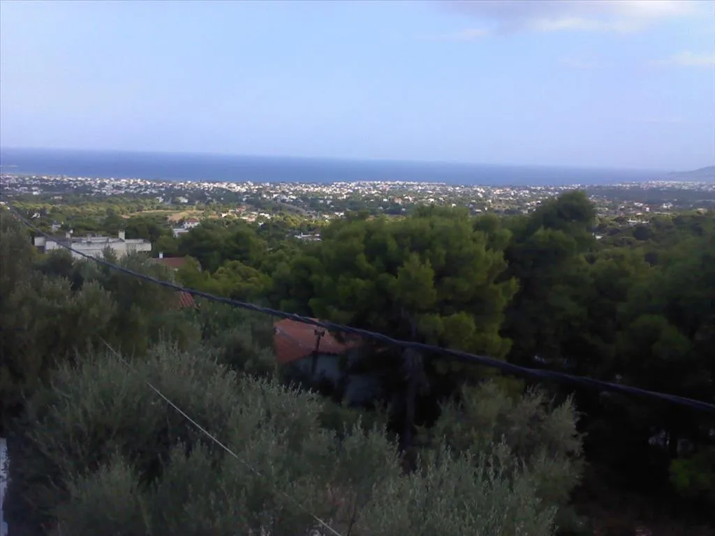 οικόπεδο προς πώληση 1359 τ.μ Σπάτα Ανατολικά Αθήνας