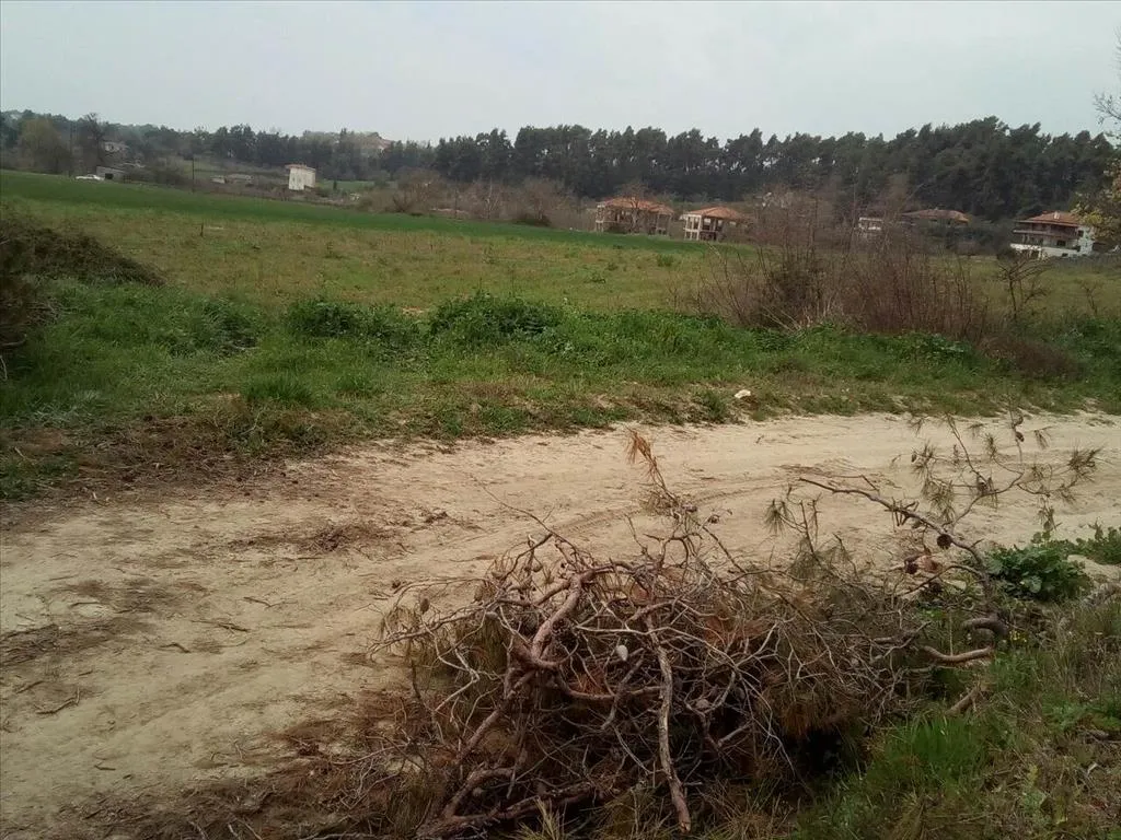 οικόπεδο προς πώληση 5100 τ.μ Κασσάνδρα Χαλκιδική