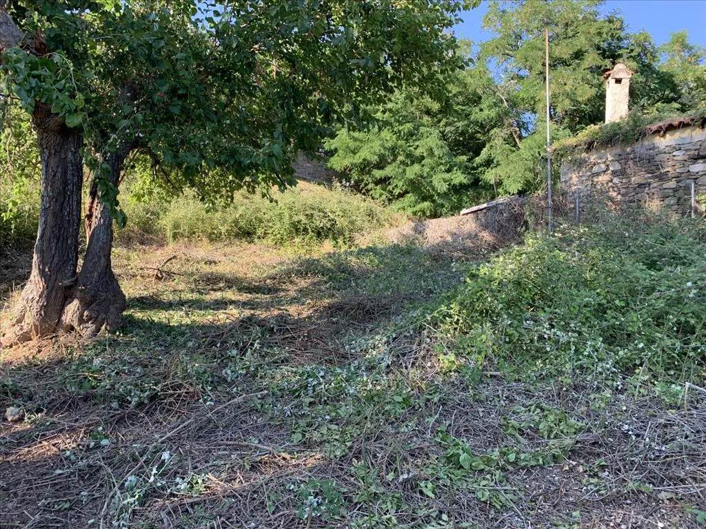 οικόπεδο προς πώληση 300 τ.μ Σιθωνία Χαλκιδική