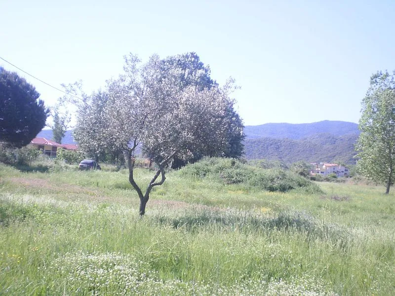 οικόπεδο προς πώληση 5015 τ.μ Σιθωνία Χαλκιδική