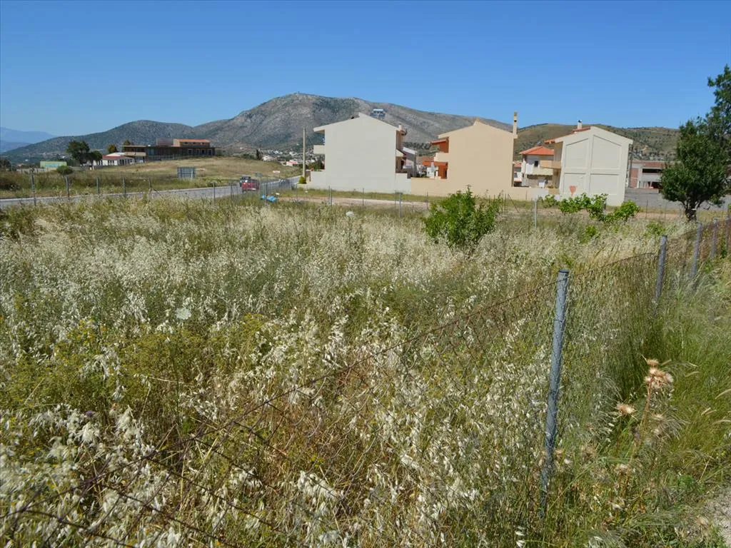 οικόπεδο προς πώληση 345 τ.μ Κερατέα Υπόλοιπη Αττικής