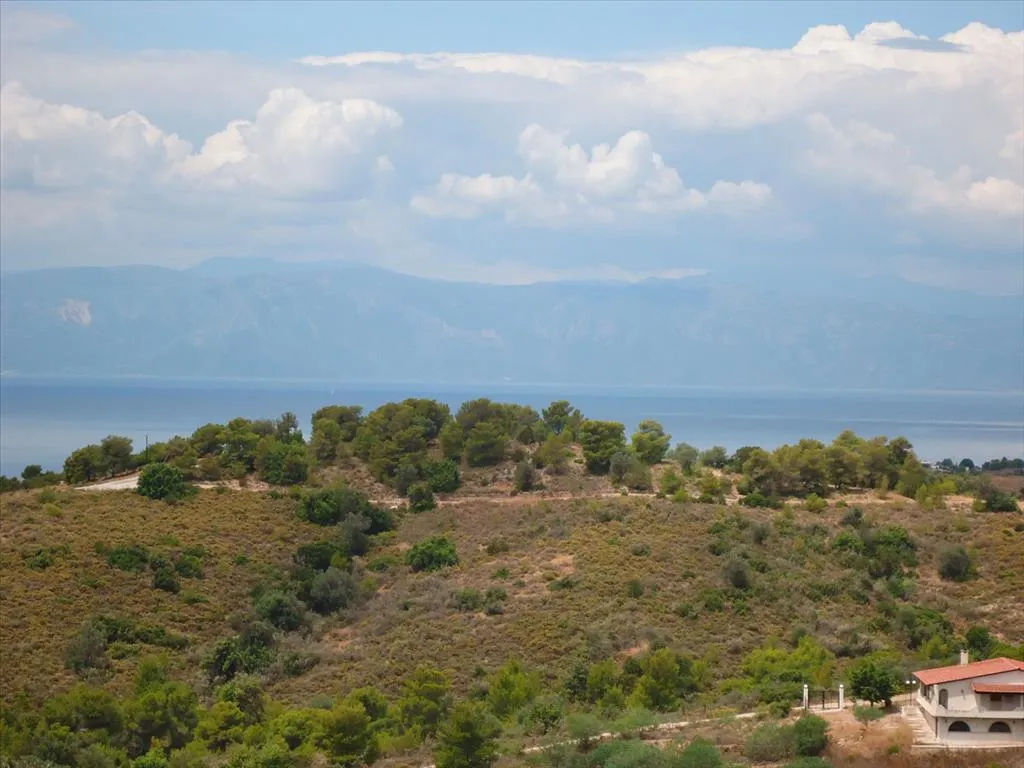 οικόπεδο προς πώληση 6000 τ.μ Κρανίδι Αργολίδα
