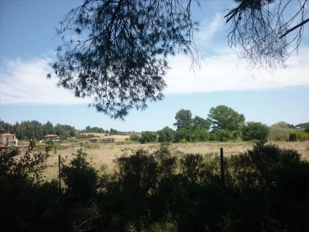 οικόπεδο προς πώληση 4248 τ.μ Κασσάνδρα Χαλκιδική