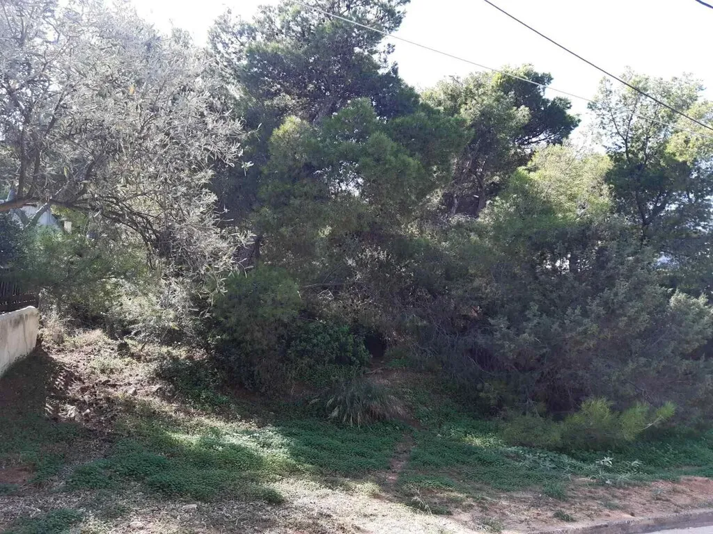 οικόπεδο προς πώληση 1050 τ.μ Μαρκόπουλο Υπόλοιπη Αττικής