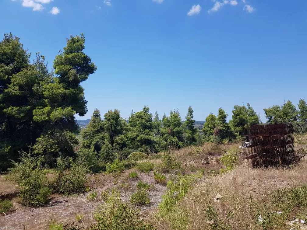 οικόπεδο προς πώληση 11000 τ.μ Κασσάνδρα Χαλκιδική