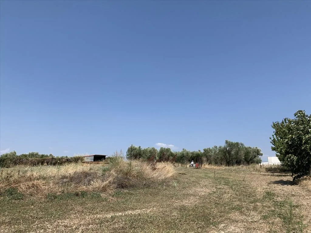 οικόπεδο προς πώληση 7000 τ.μ Επανωμή Προάστια Θεσσαλονίκης