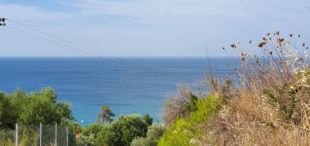 οικόπεδο προς πώληση 4800 τ.μ Κασσάνδρα Χαλκιδική