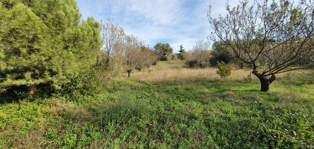 οικόπεδο προς πώληση 2900 τ.μ Νέα Προποντίδα Χαλκιδική