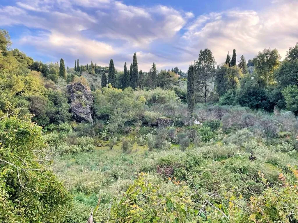 οικόπεδο προς πώληση 6145 τ.μ Κέρκυρα Νομός Κέρκυρας