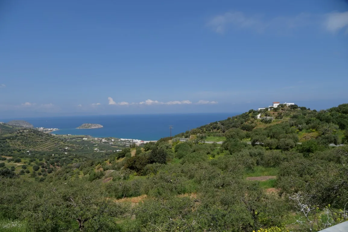 οικόπεδο προς πώληση 13000 τ.μ Σητεία Νομός Λασιθίου