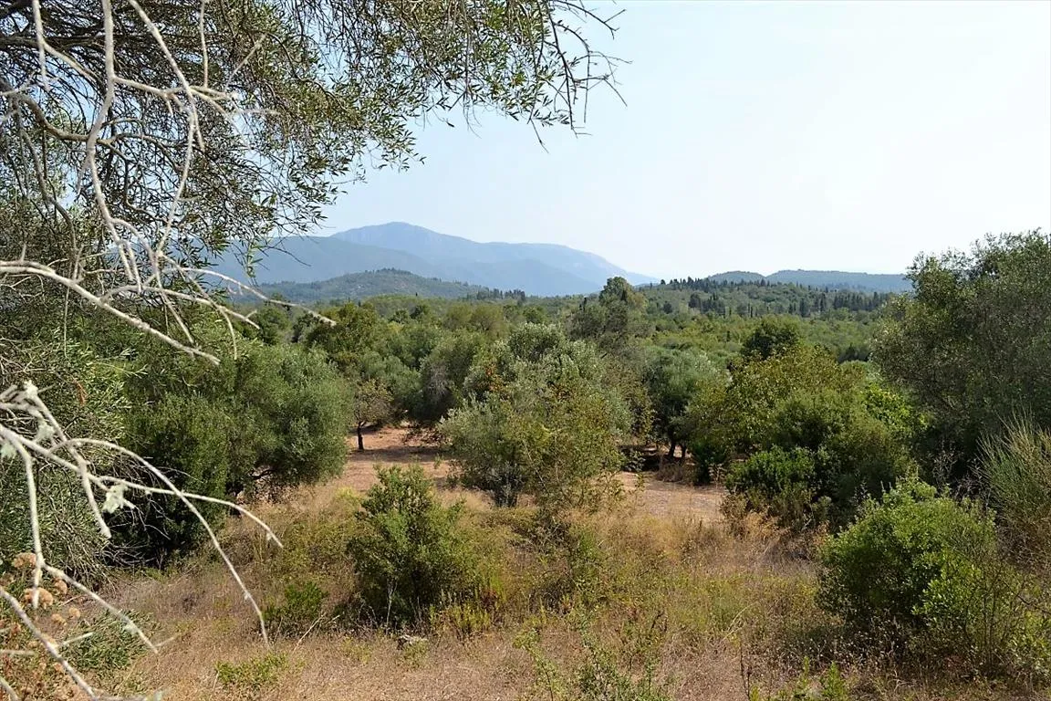 οικόπεδο προς πώληση 60000 τ.μ Κέρκυρα Νομός Κέρκυρας