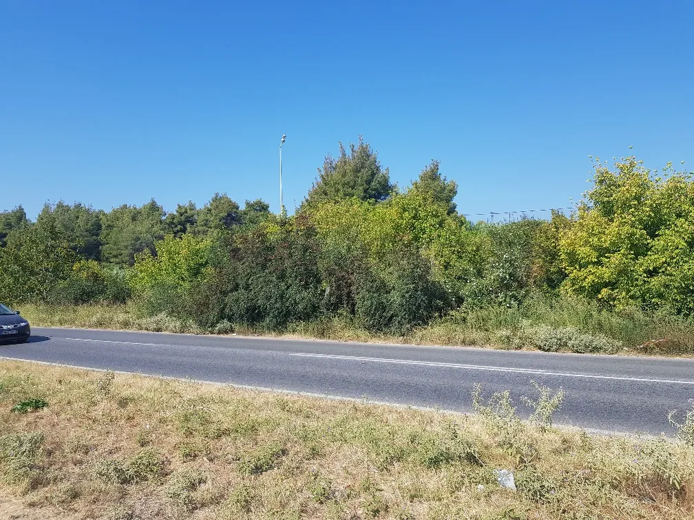 οικόπεδο προς πώληση 1500 τ.μ Κασσάνδρα Χαλκιδική