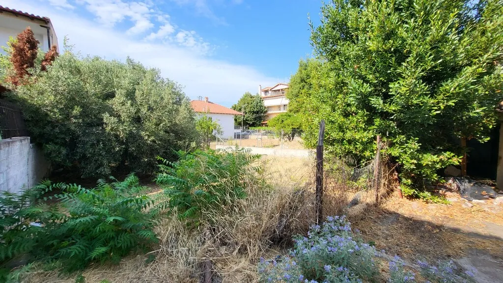 οικόπεδο προς πώληση 303 τ.μ Κασσάνδρα Χαλκιδική