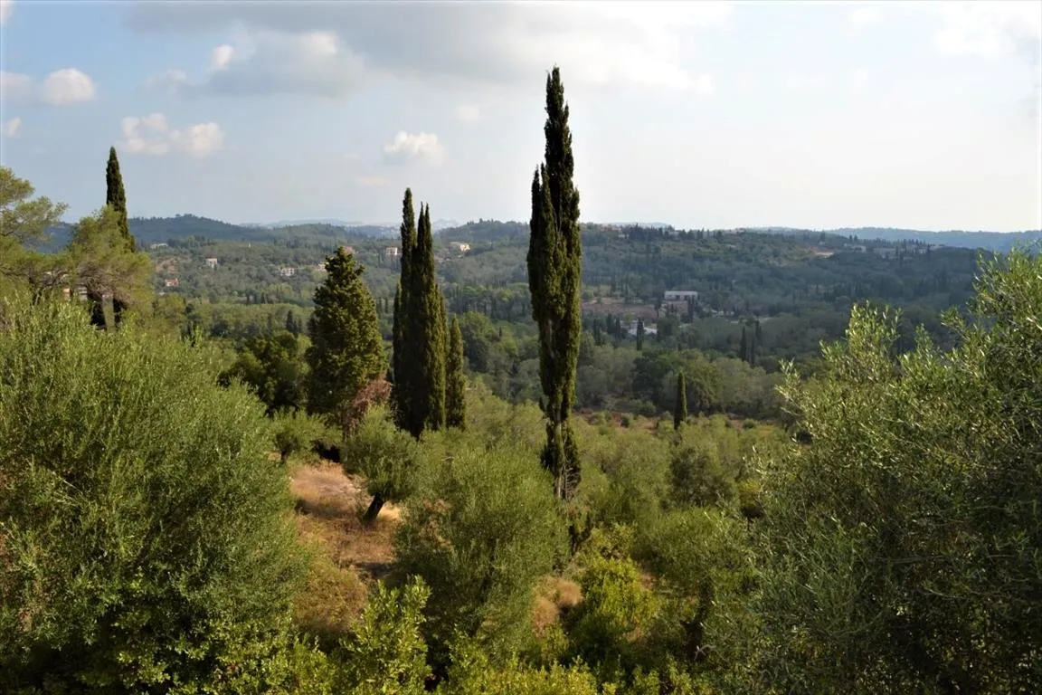οικόπεδο προς πώληση 3660 τ.μ Κέρκυρα Νομός Κέρκυρας