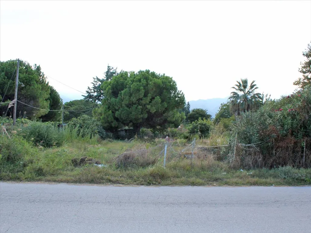 οικόπεδο προς πώληση 2000 τ.μ Ανατολικός Όλυμπος Νομός Πιερίας