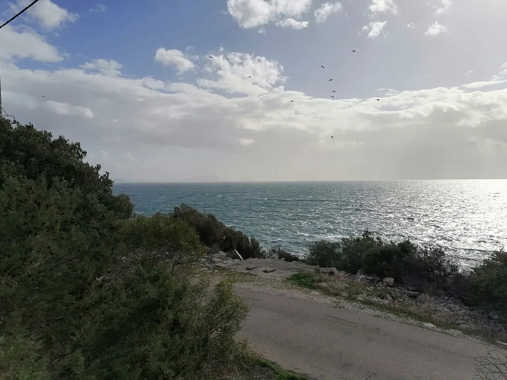 οικόπεδο προς πώληση 1187 τ.μ Μαραθώνας Ανατολικά Αθήνας
