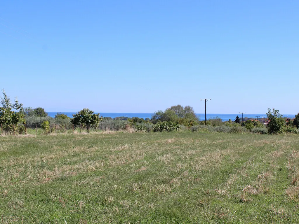 οικόπεδο προς πώληση 3000 τ.μ Ανατολικός Όλυμπος Νομός Πιερίας