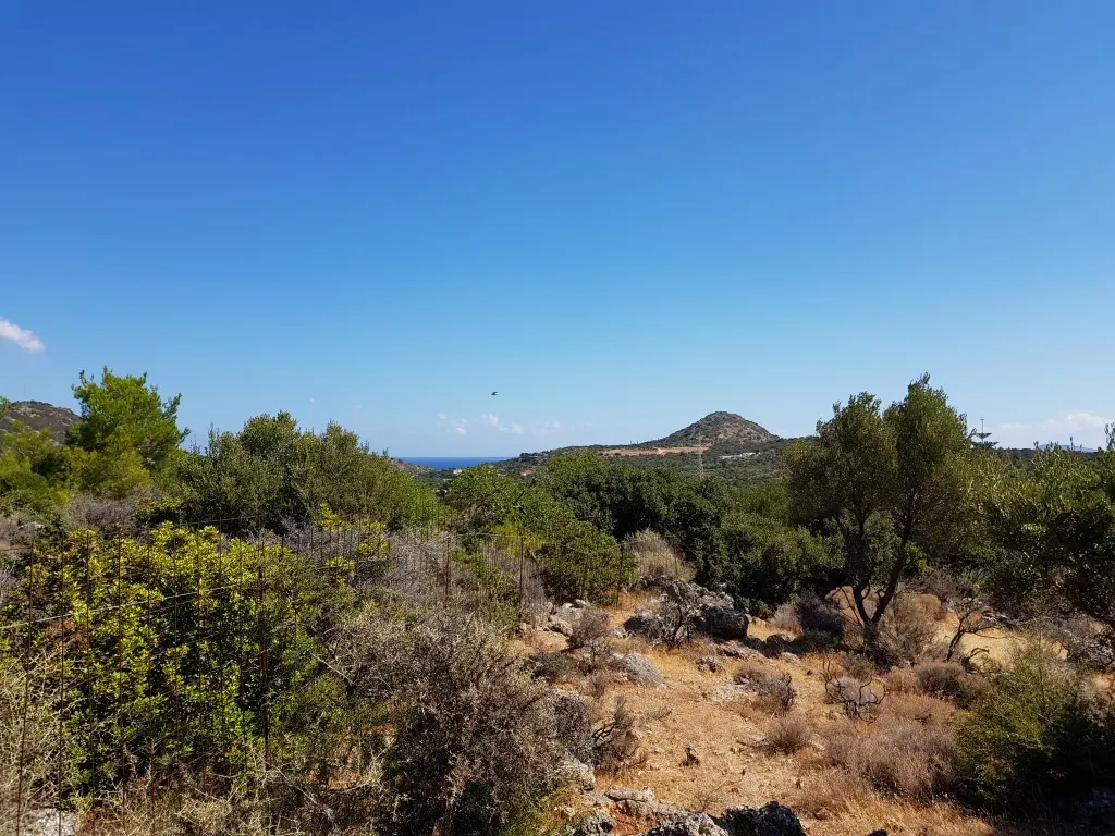 οικόπεδο προς πώληση 14565 τ.μ Άγιος Νικόλαος Νομός Λασιθίου
