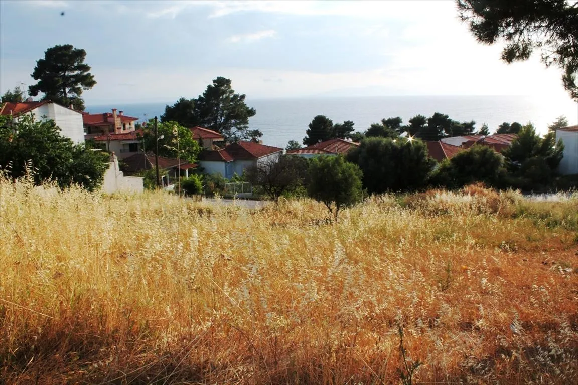 οικόπεδο προς πώληση 1270 τ.μ Κασσάνδρα Χαλκιδική