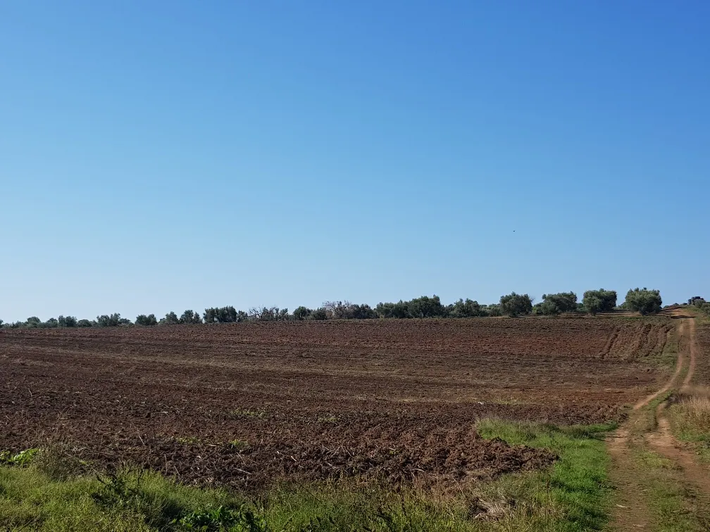 οικόπεδο προς πώληση 9250 τ.μ Κασσάνδρα Χαλκιδική