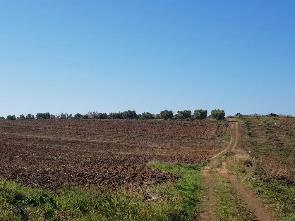 οικόπεδο προς πώληση 9250 τ.μ Κασσάνδρα Χαλκιδική