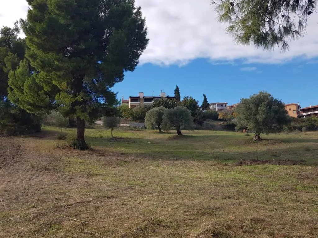 οικόπεδο προς πώληση 2822 τ.μ Κασσάνδρα Χαλκιδική