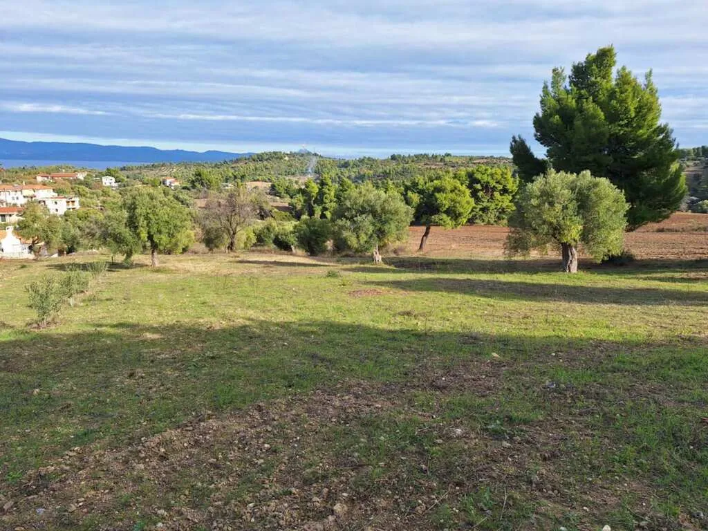 οικόπεδο προς πώληση 2822 τ.μ Κασσάνδρα Χαλκιδική