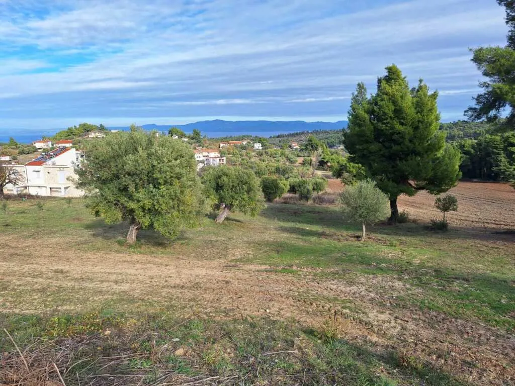 οικόπεδο προς πώληση 2822 τ.μ Κασσάνδρα Χαλκιδική