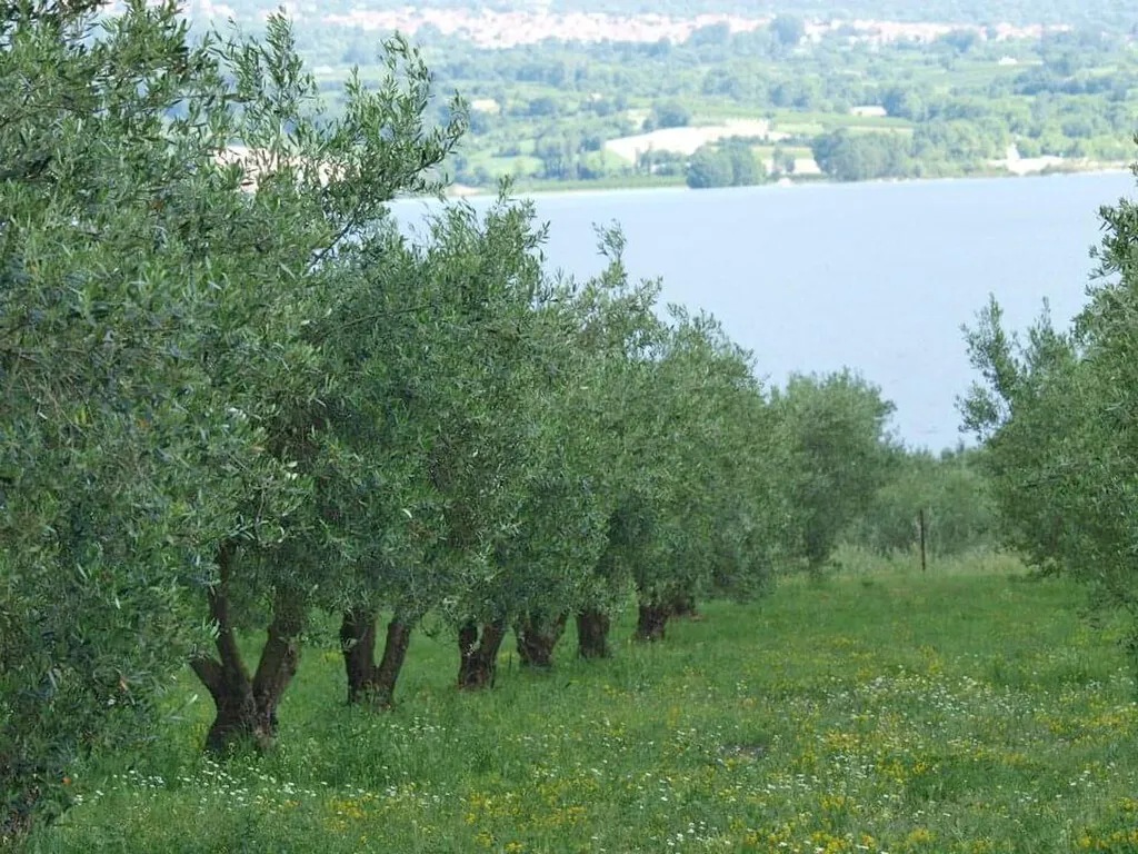 οικόπεδο προς πώληση 5343 τ.μ Σέρβια Νομός Κοζάνης