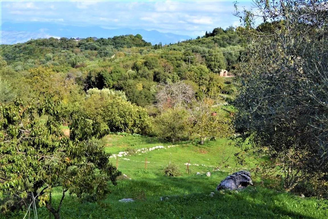 οικόπεδο προς πώληση 1210 τ.μ Κέρκυρα Νομός Κέρκυρας