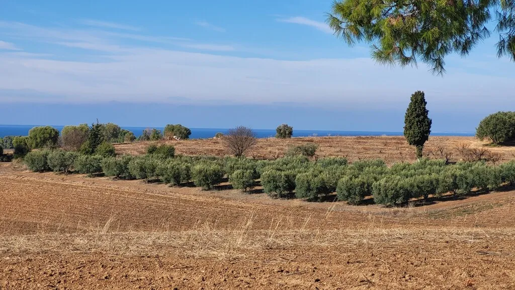 οικόπεδο προς πώληση 13600 τ.μ Κασσάνδρα Χαλκιδική