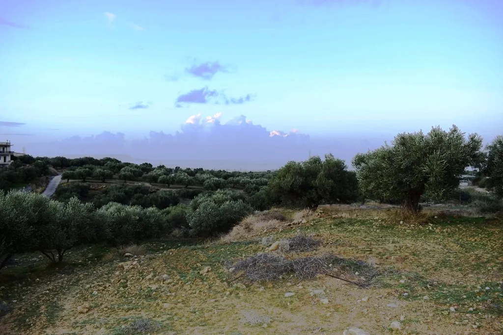 οικόπεδο προς πώληση 4500 τ.μ Γούβες Νομός Ηρακλείου