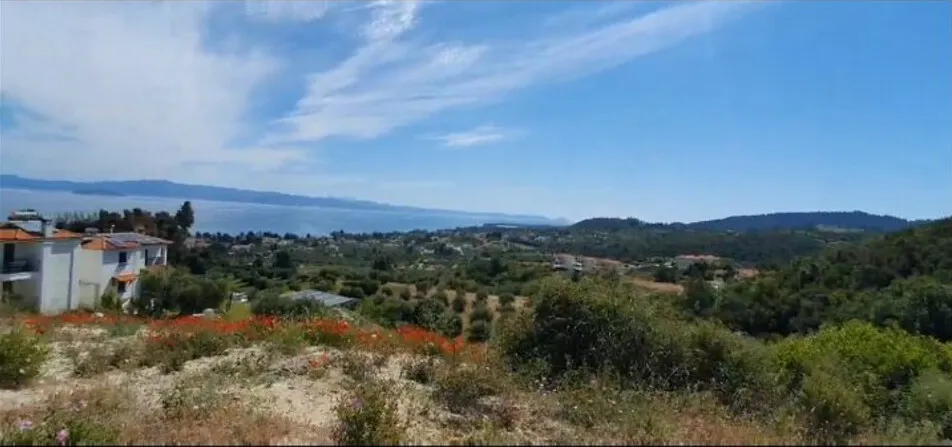 οικόπεδο προς πώληση 11444 τ.μ Κασσάνδρα Χαλκιδική