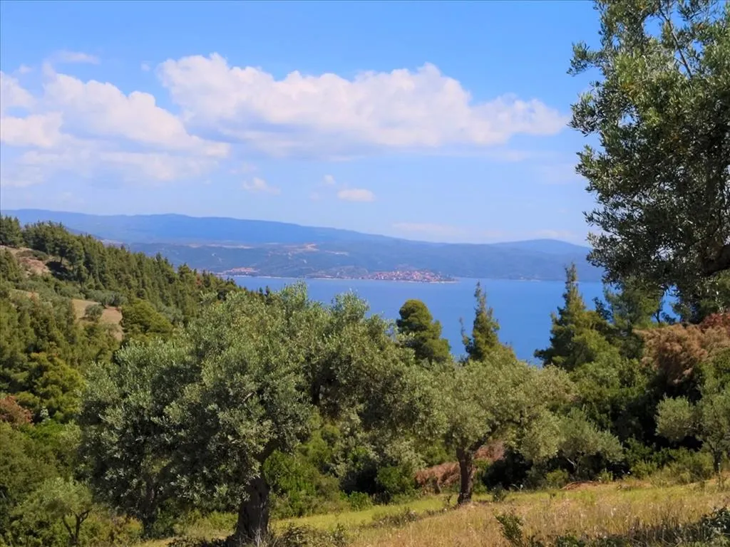 οικόπεδο προς πώληση 5400 τ.μ Σιθωνία Χαλκιδική