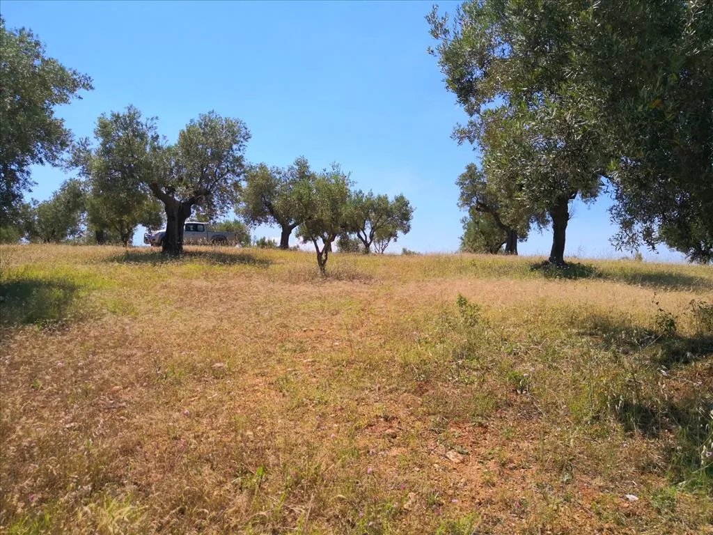 οικόπεδο προς πώληση 5400 τ.μ Σιθωνία Χαλκιδική