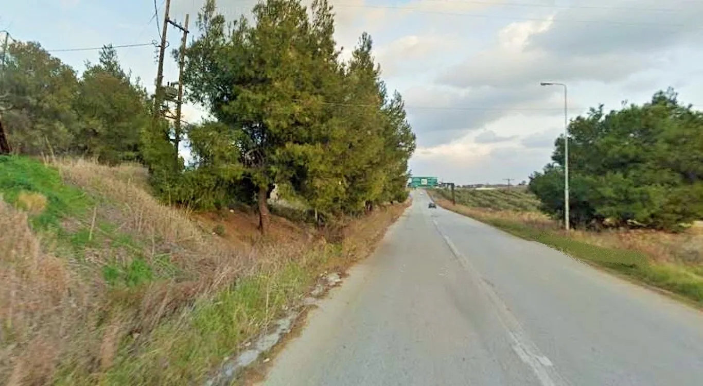 οικόπεδο προς πώληση 2500 τ.μ Κασσάνδρα Χαλκιδική