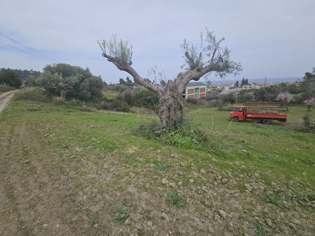 οικόπεδο προς πώληση 1666 τ.μ Κασσάνδρα Χαλκιδική