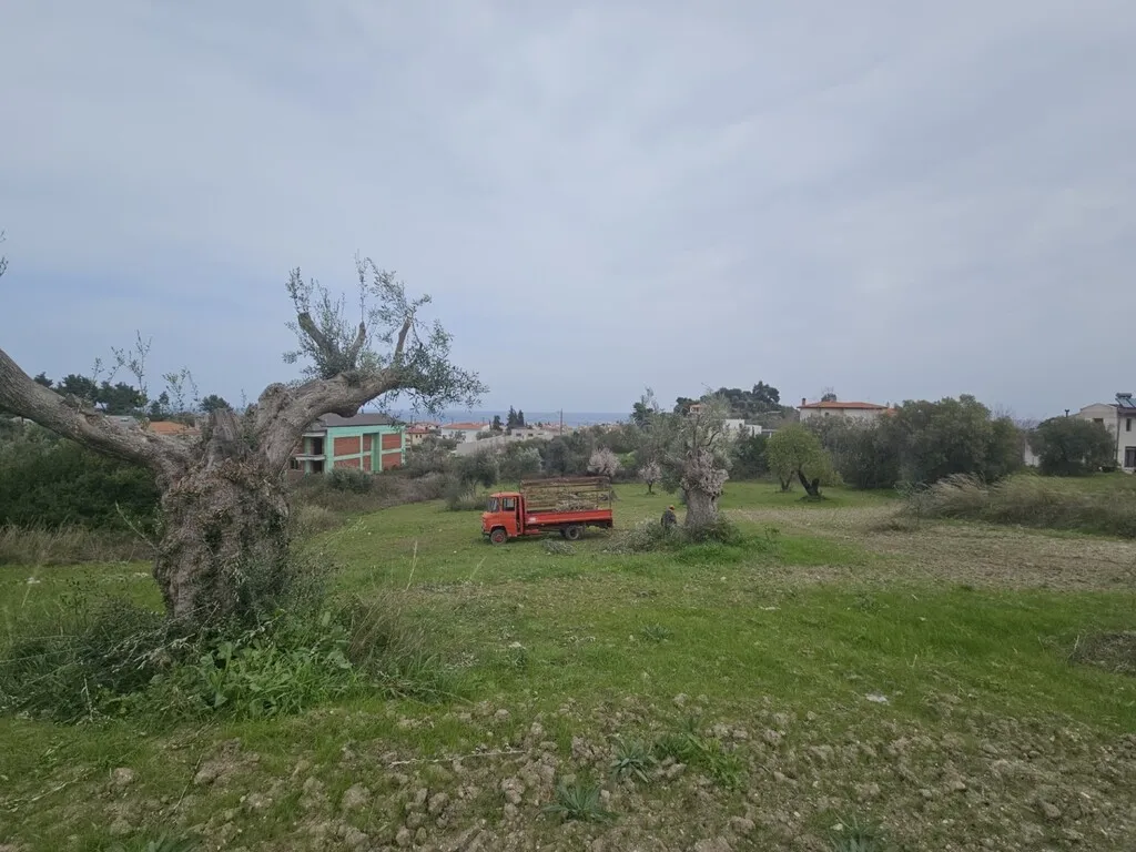οικόπεδο προς πώληση 1666 τ.μ Κασσάνδρα Χαλκιδική