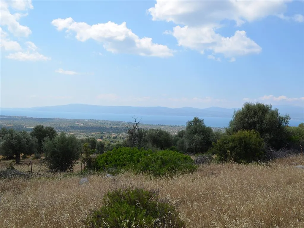 οικόπεδο προς πώληση 45000 τ.μ Ερέτρια Εύβοια