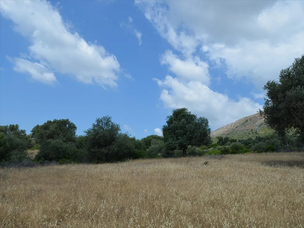 οικόπεδο προς πώληση 45000 τ.μ Ερέτρια Εύβοια