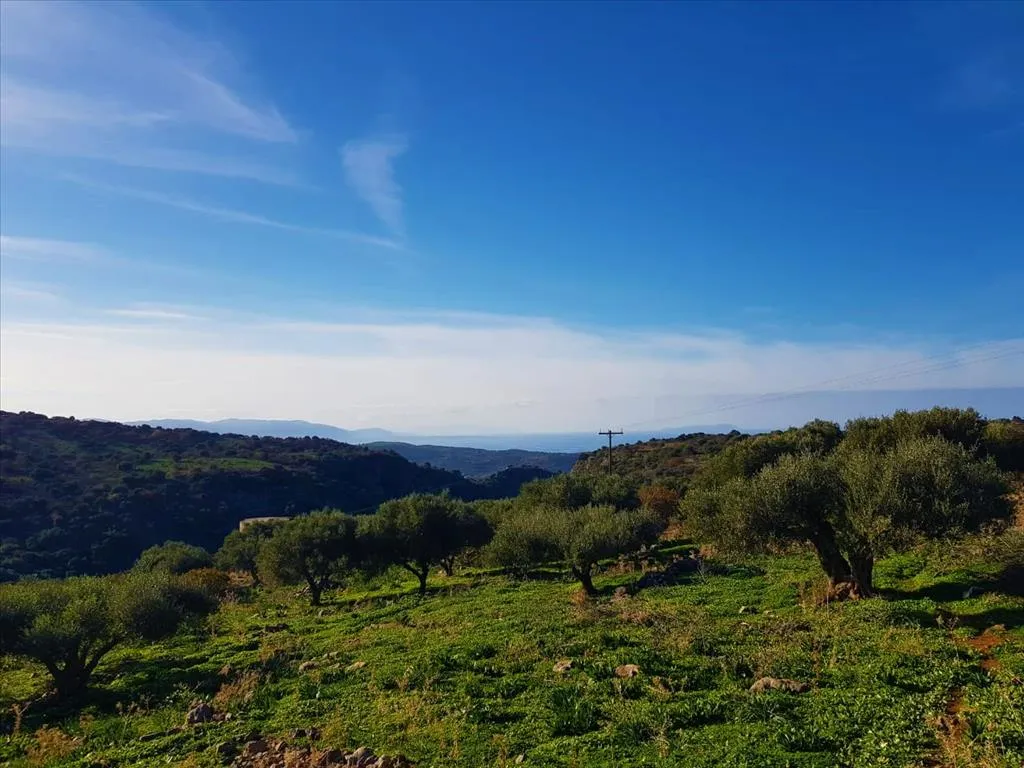 οικόπεδο προς πώληση 10226 τ.μ Νεάπολη Νομός Λασιθίου