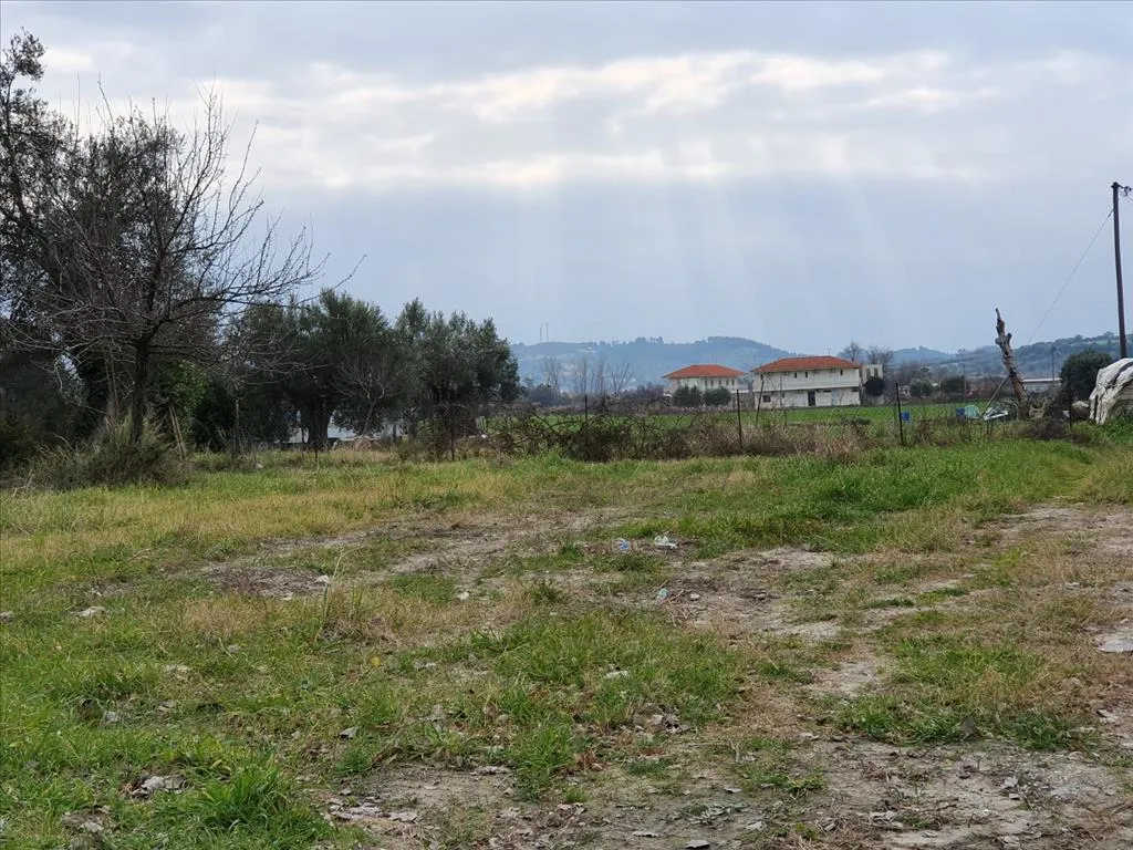 οικόπεδο προς πώληση 2000 τ.μ Κασσάνδρα Χαλκιδική