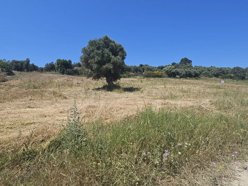 οικόπεδο προς πώληση 5800 τ.μ Κασσάνδρα Χαλκιδική