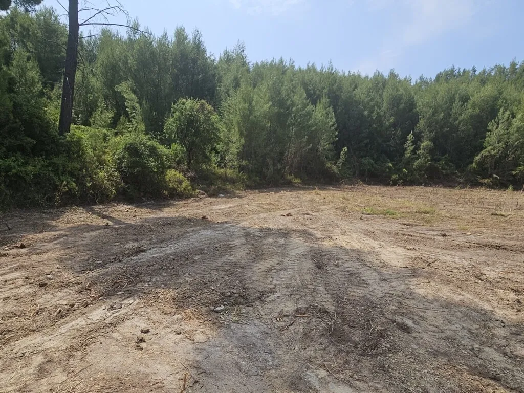 οικόπεδο προς πώληση 4100 τ.μ Κασσάνδρα Χαλκιδική