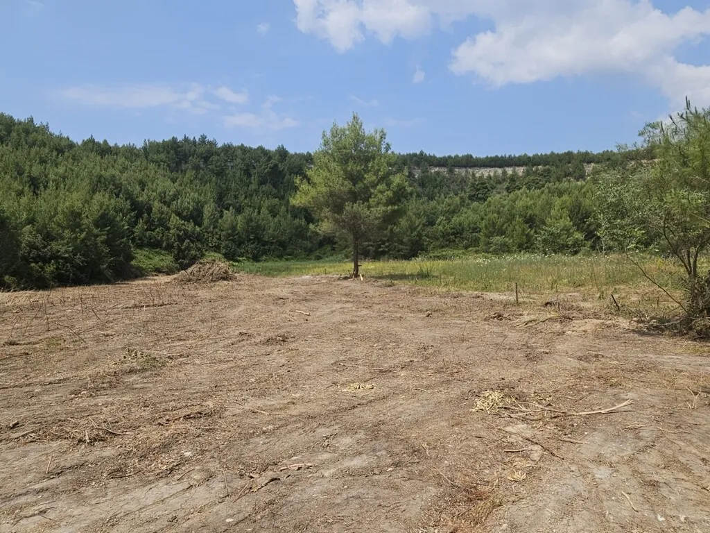 οικόπεδο προς πώληση 4100 τ.μ Κασσάνδρα Χαλκιδική