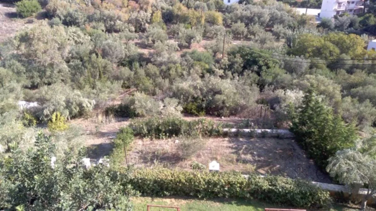 οικόπεδο προς πώληση 1307 τ.μ Ασίνη Αργολίδα