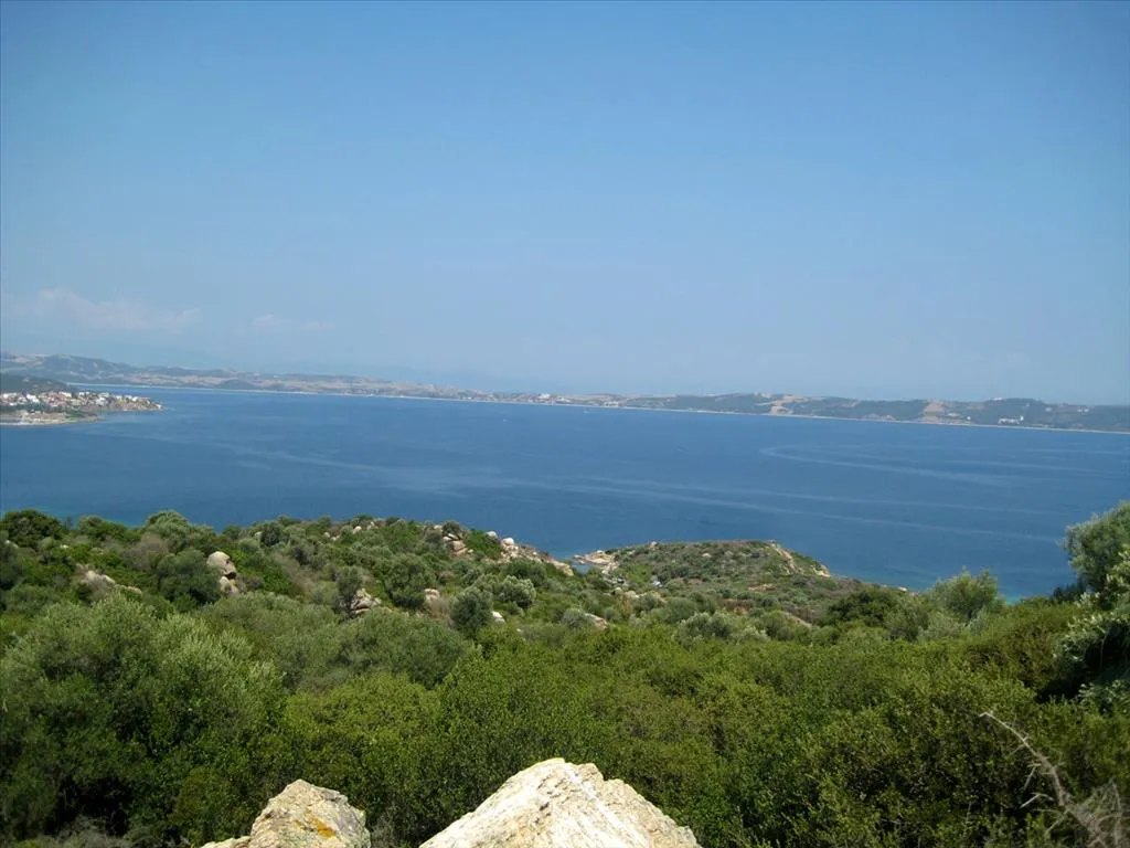 οικόπεδο προς πώληση 7000 τ.μ Αριστοτέλης Χαλκιδική