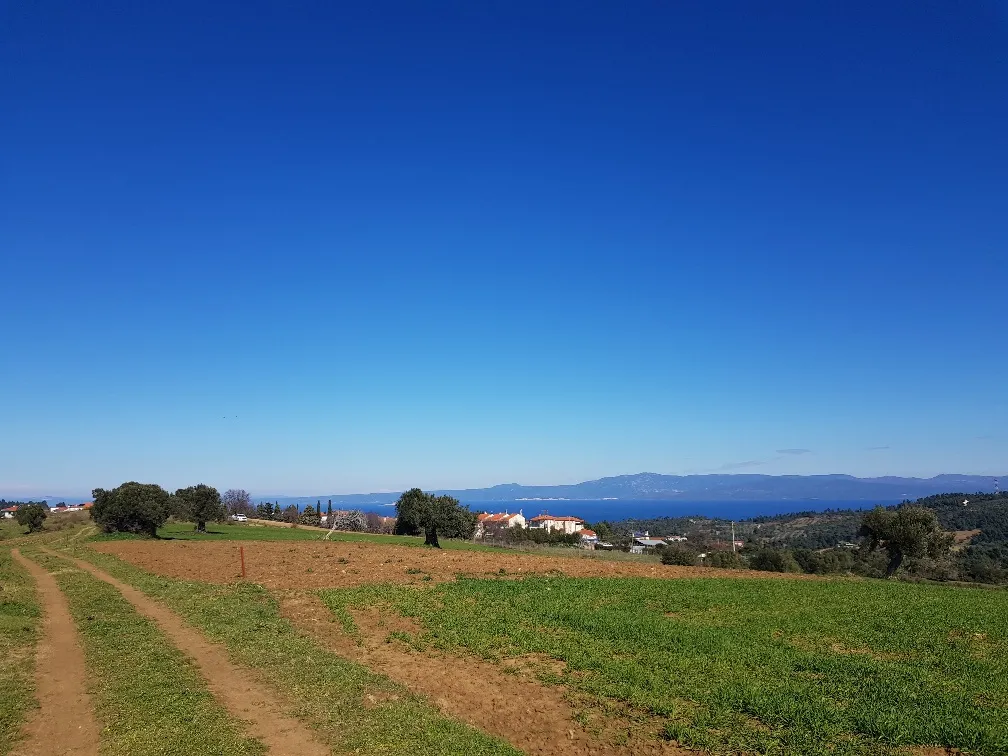 οικόπεδο προς πώληση 9000 τ.μ Κασσάνδρα Χαλκιδική